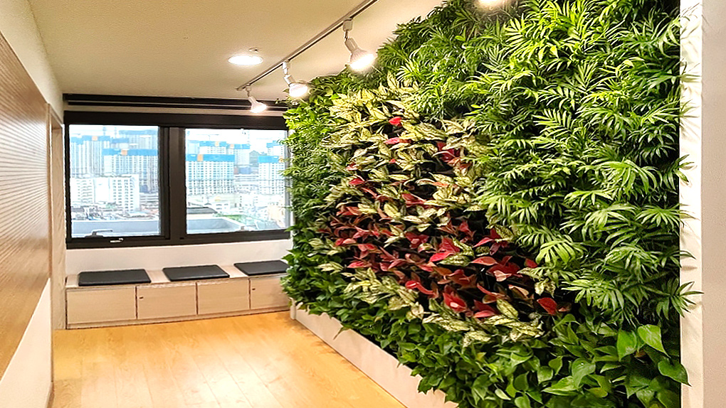 시립도담태평동 지역아동센터 ‘실내 숲’ (출처_한국 코카-콜라).jpg