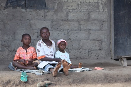 에볼라, 그 후...