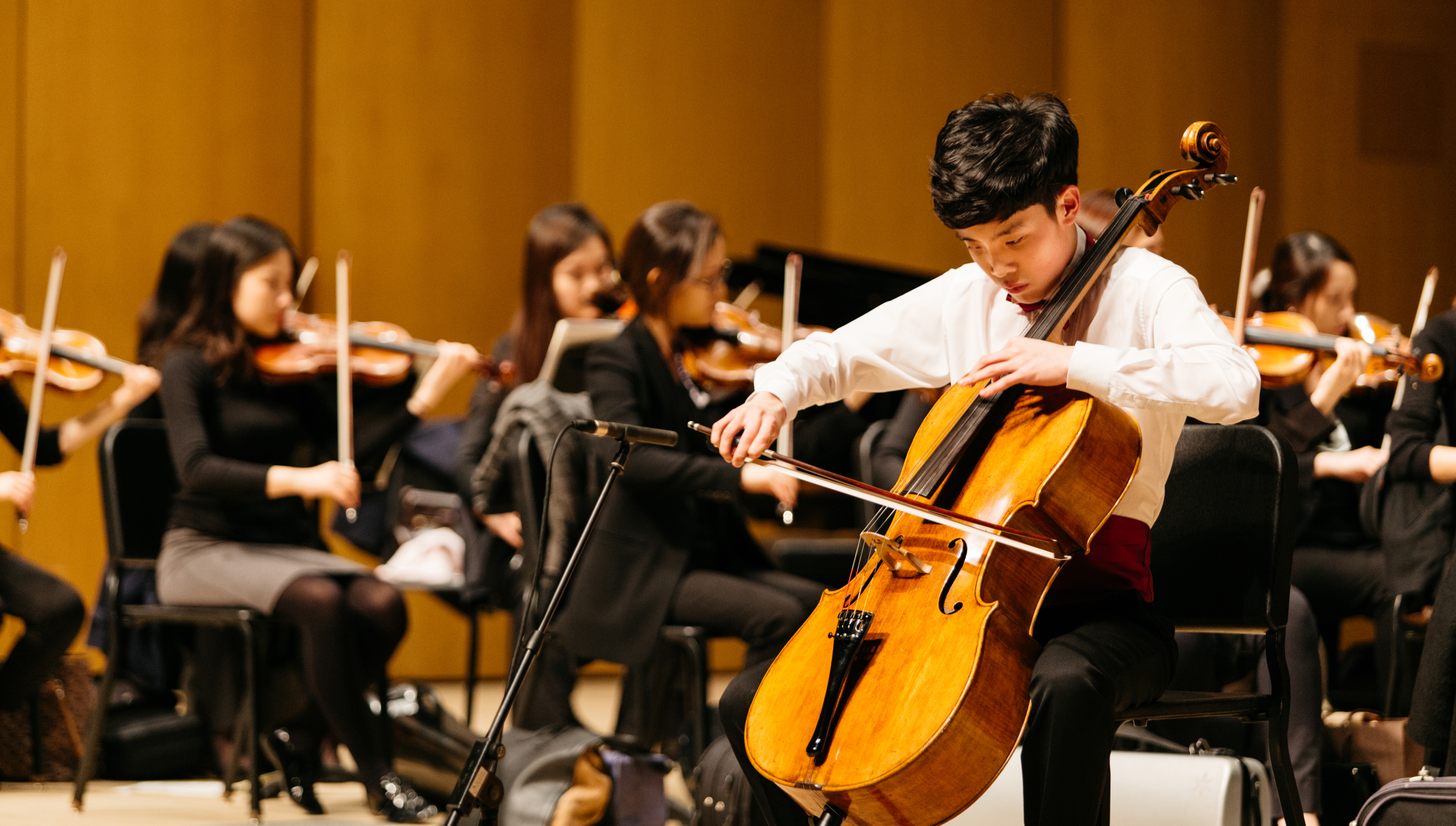 The Cellist, '차지우'