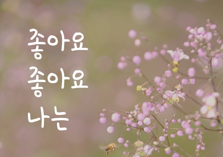 [장유진 동시] 좋아요 좋아요 나는