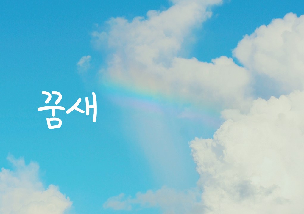 [장유진 동시] 꿈새